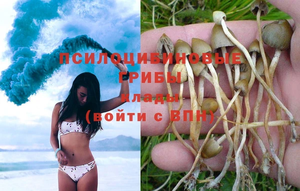 PSILOCYBIN Володарск