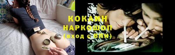 мет Бородино