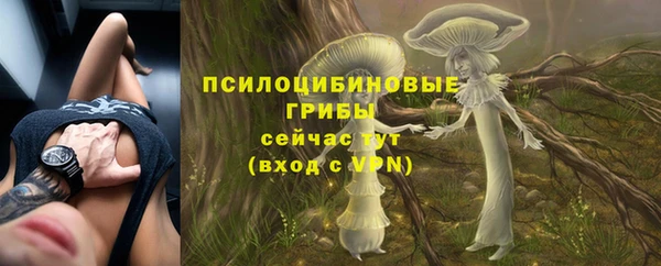 трава Верхнеуральск