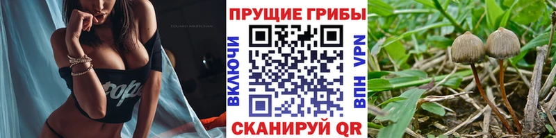Галлюциногенные грибы мицелий  Уссурийск 